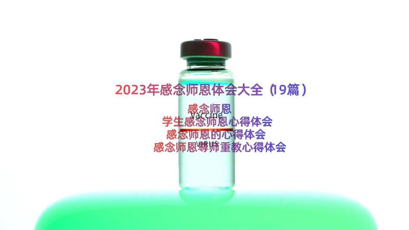 2023年感念师恩体会大全（19篇）