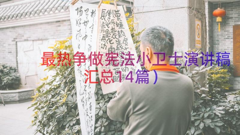 最热争做宪法小卫士演讲稿（汇总14篇）