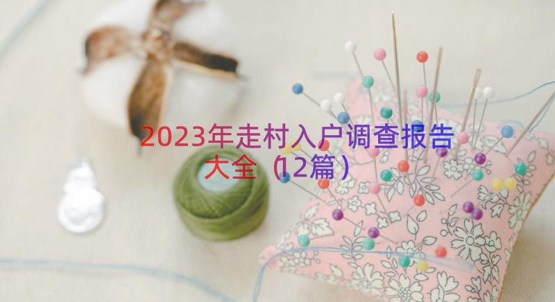 2023年走村入户调查报告大全（12篇）