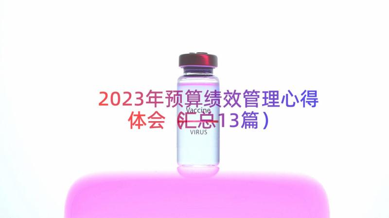 2023年预算绩效管理心得体会（汇总13篇）