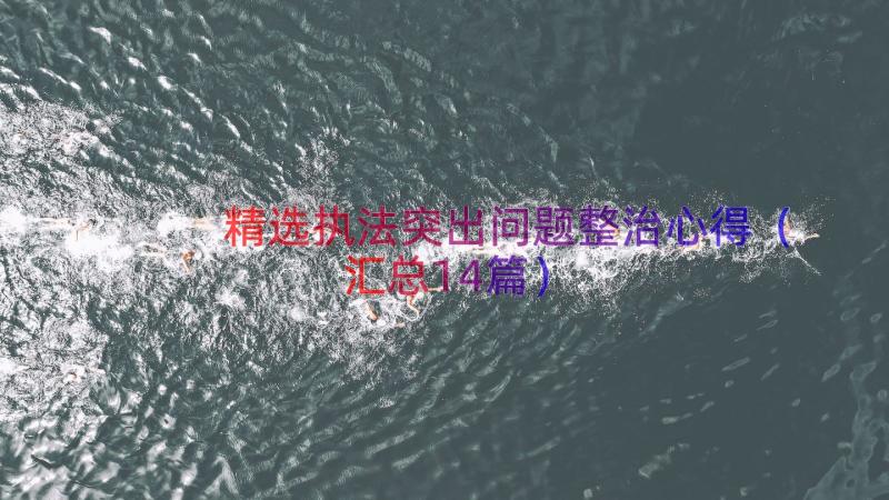 精选执法突出问题整治心得（汇总14篇）