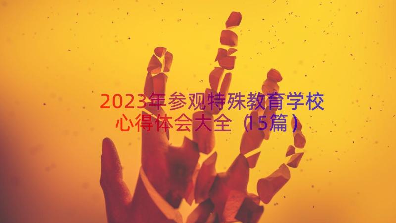 2023年参观特殊教育学校心得体会大全（15篇）