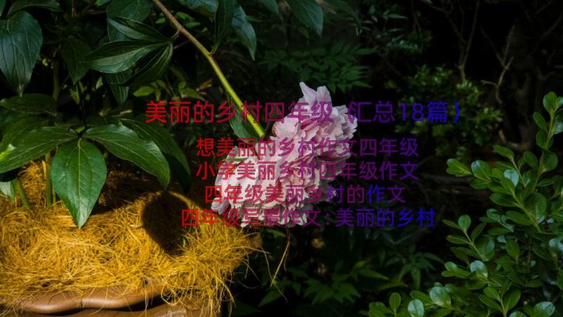 美丽的乡村四年级（汇总18篇）