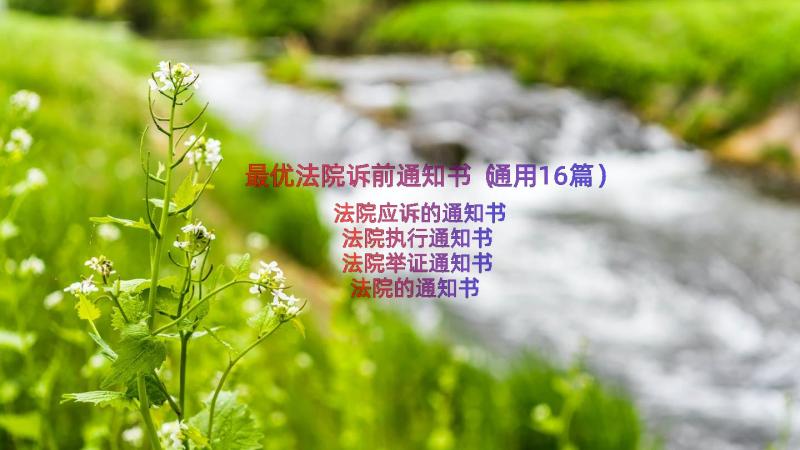 最优法院诉前通知书（通用16篇）