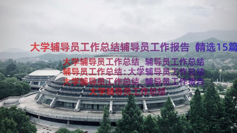 大学辅导员工作总结辅导员工作报告（精选15篇）