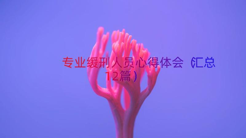 专业缓刑人员心得体会（汇总12篇）