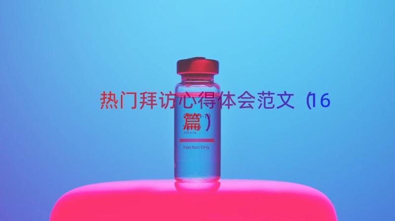 热门拜访心得体会范文（16篇）