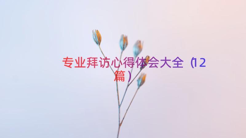 专业拜访心得体会大全（12篇）