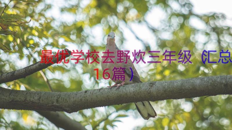 最优学校去野炊三年级（汇总16篇）