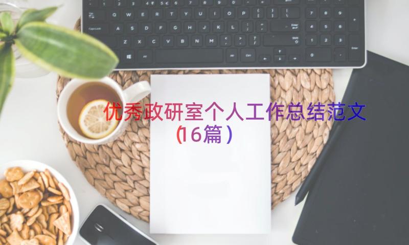 优秀政研室个人工作总结范文（16篇）