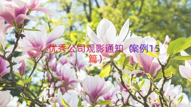 优秀公司观影通知（案例15篇）