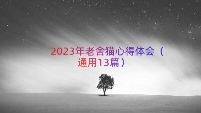 2023年老舍猫心得体会（通用13篇）