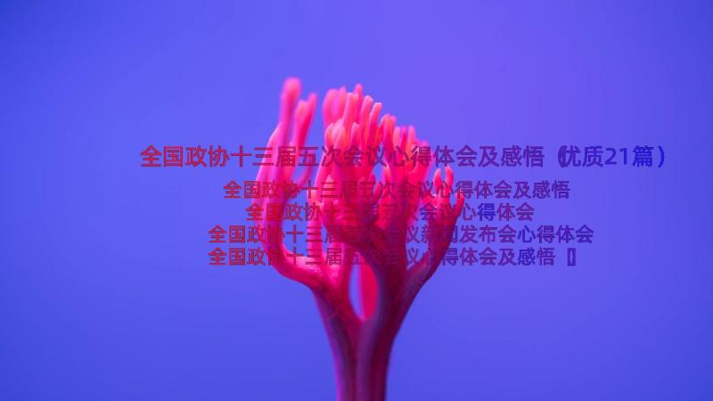 全国政协十三届五次会议心得体会及感悟（优质21篇）