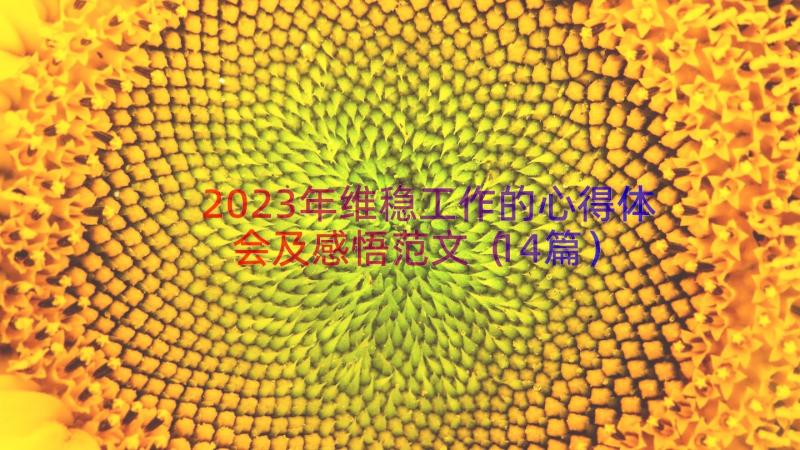 2023年维稳工作的心得体会及感悟范文（14篇）