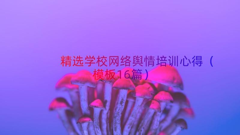 精选学校网络舆情培训心得（模板16篇）