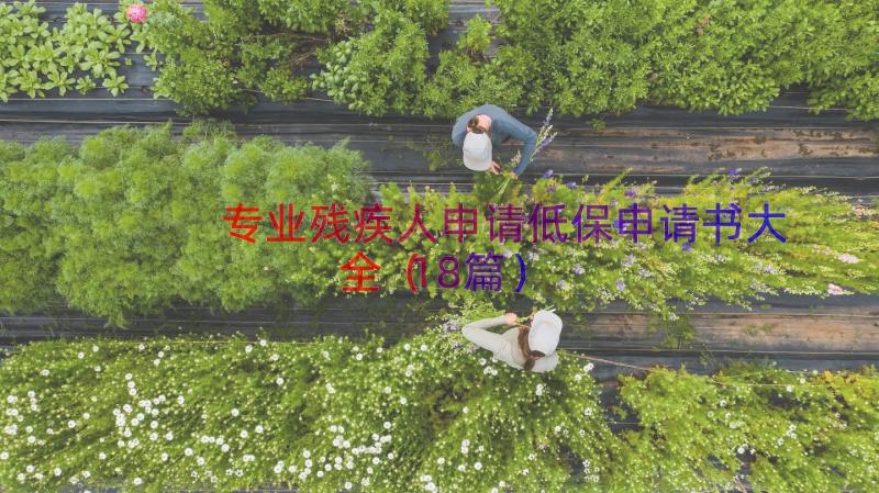 专业残疾人申请低保申请书大全（18篇）