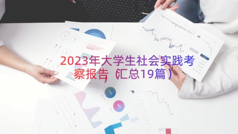 2023年大学生社会实践考察报告（汇总19篇）