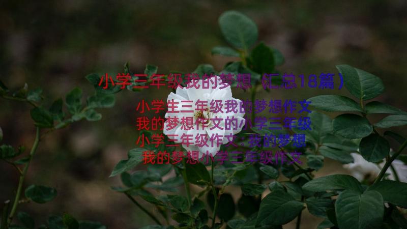 小学三年级我的梦想（汇总18篇）