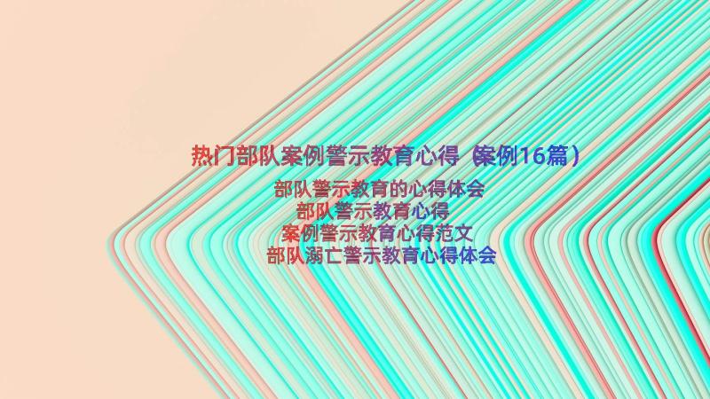 热门部队案例警示教育心得（案例16篇）