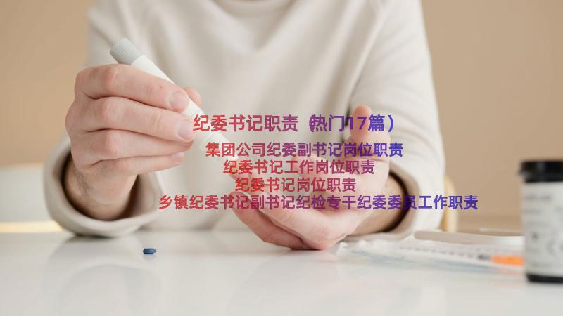 纪委书记职责（热门17篇）