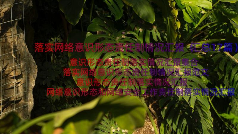 落实网络意识形态责任制情况汇报（汇总17篇）