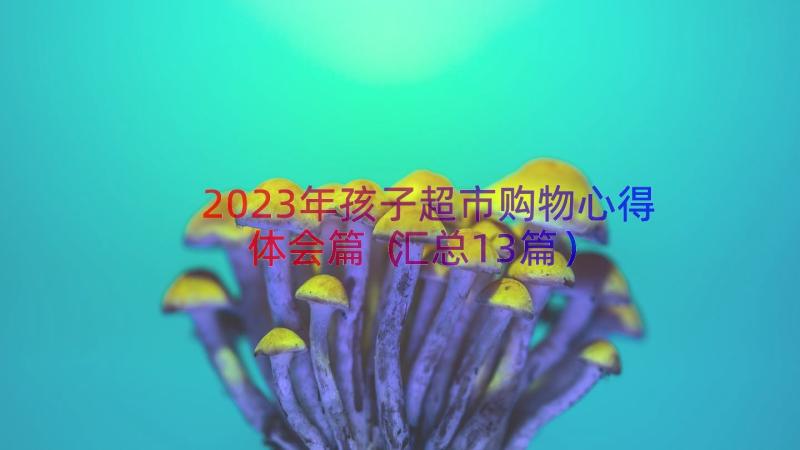 2023年孩子超市购物心得体会篇（汇总13篇）