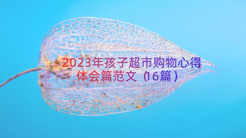 2023年孩子超市购物心得体会篇范文（16篇）