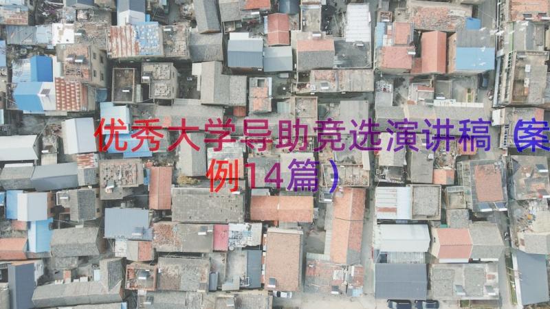 优秀大学导助竞选演讲稿（案例14篇）