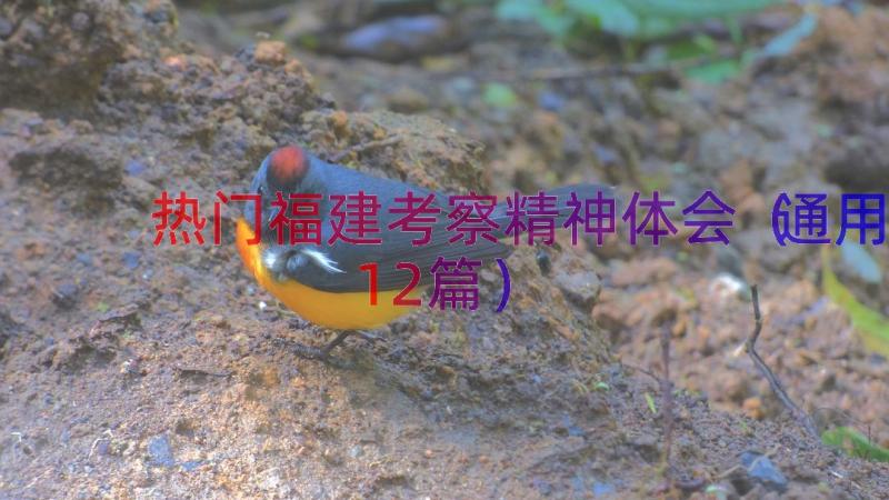 热门福建考察精神体会（通用12篇）