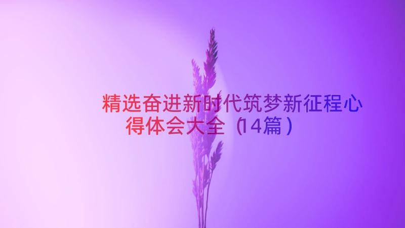 精选奋进新时代筑梦新征程心得体会大全（14篇）