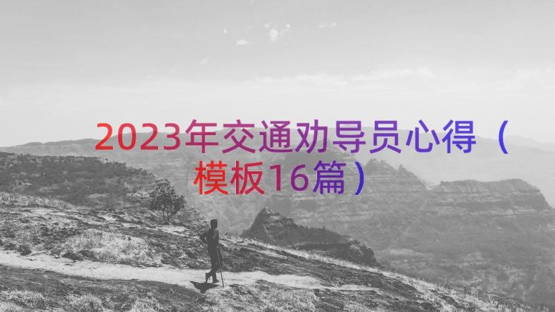 2023年交通劝导员心得（模板16篇）