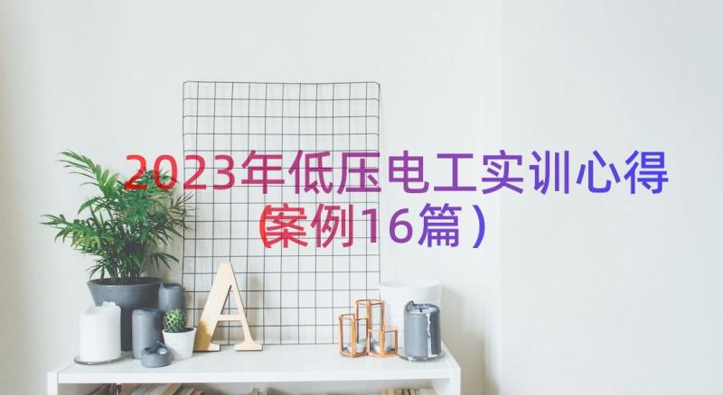 2023年低压电工实训心得（案例16篇）