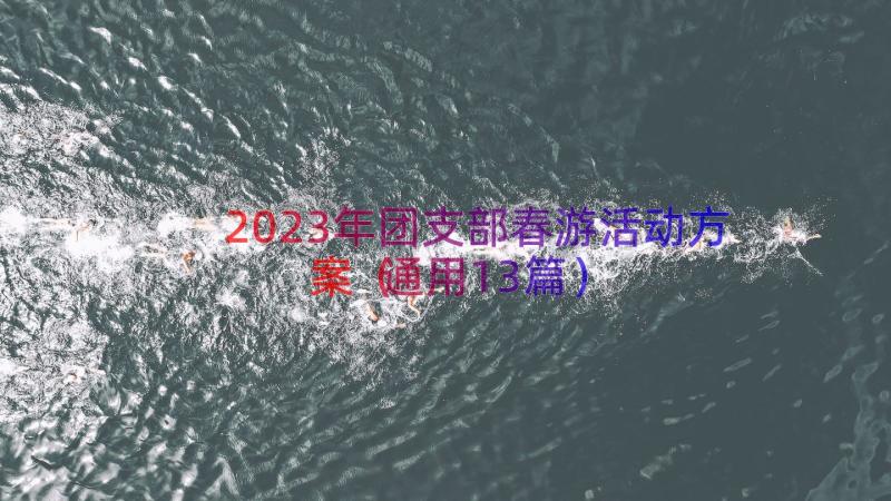 2023年团支部春游活动方案（通用13篇）