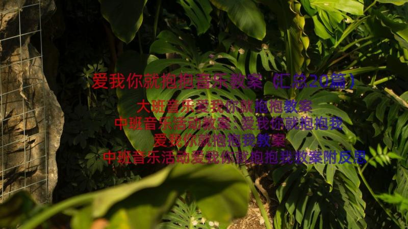 爱我你就抱抱音乐教案（汇总20篇）