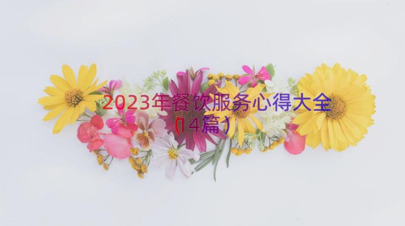 2023年餐饮服务心得大全（14篇）