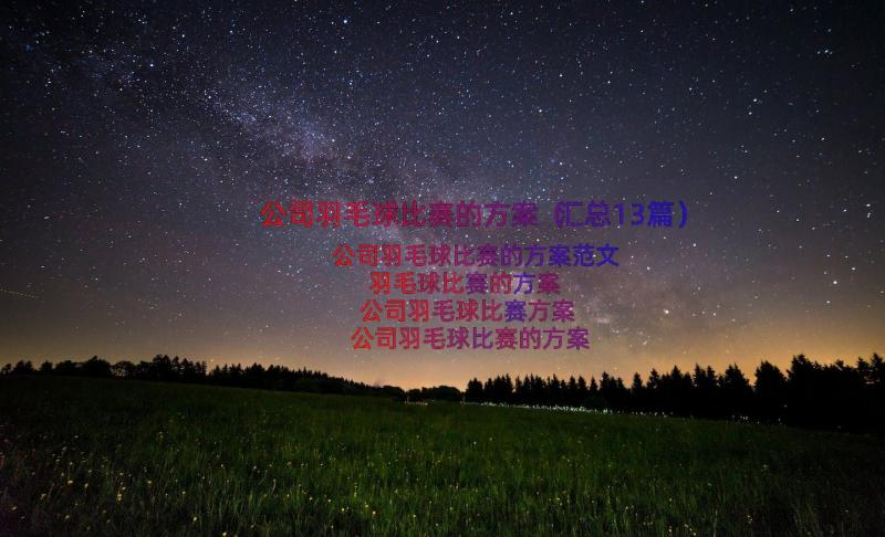 公司羽毛球比赛的方案（汇总13篇）