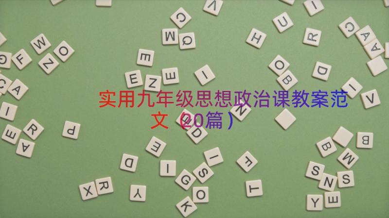 实用九年级思想政治课教案范文（20篇）