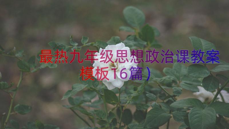 最热九年级思想政治课教案（模板16篇）