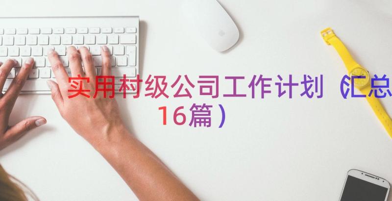 实用村级公司工作计划（汇总16篇）