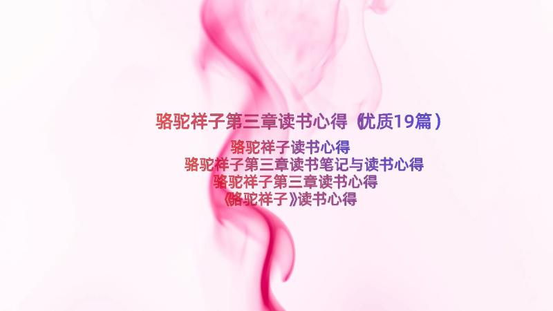 骆驼祥子第三章读书心得（优质19篇）