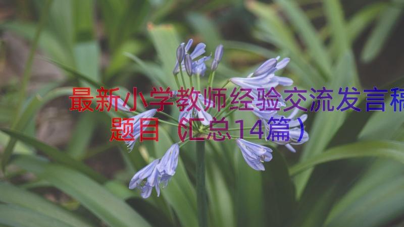 最新小学教师经验交流发言稿题目（汇总14篇）