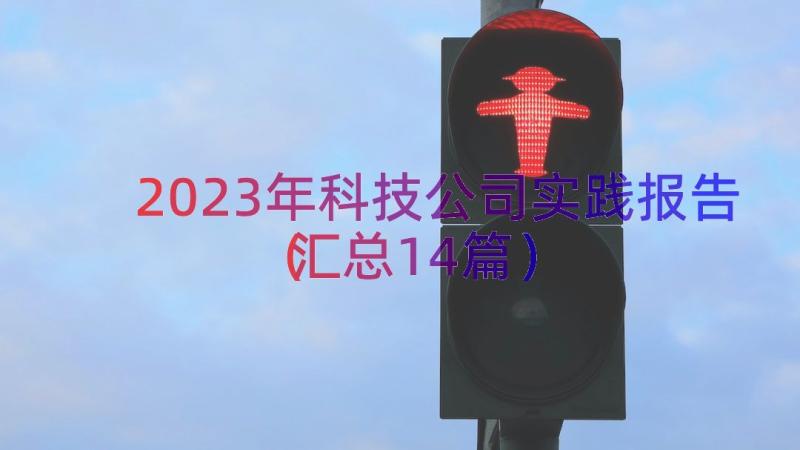 2023年科技公司实践报告（汇总14篇）