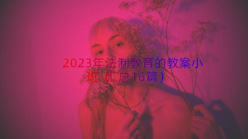 2023年法制教育的教案小班（汇总16篇）