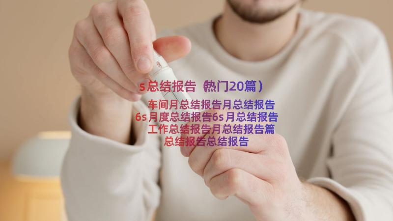 s总结报告（热门20篇）