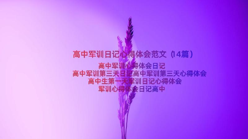 高中军训日记心得体会范文（14篇）