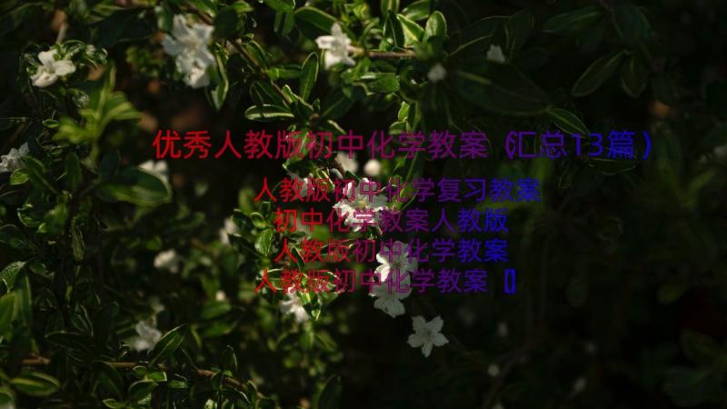 优秀人教版初中化学教案（汇总13篇）