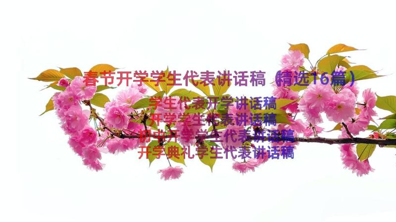 春节开学学生代表讲话稿（精选16篇）