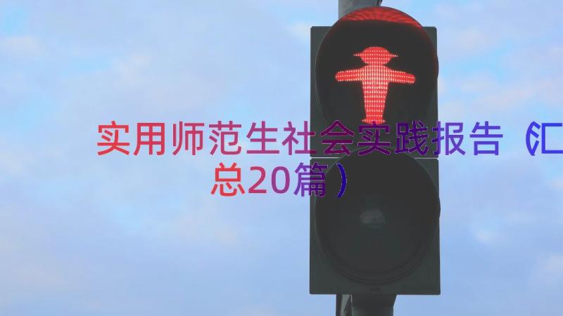 实用师范生社会实践报告（汇总20篇）