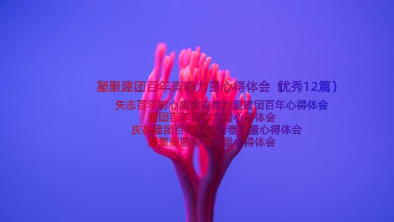 凝聚建团百年青春力量心得体会（优秀12篇）