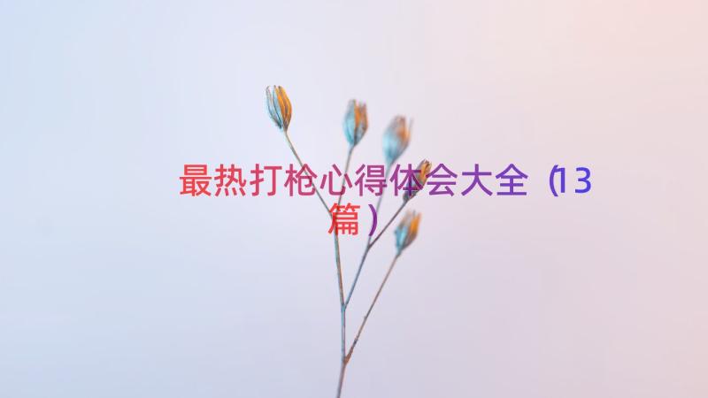 最热打枪心得体会大全（13篇）